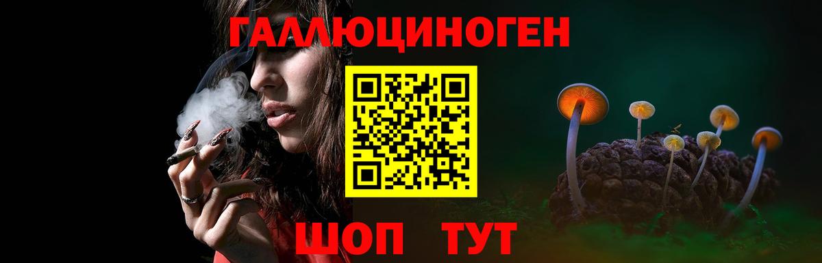 Галлюциногенные грибы прущие грибы  дарнет шоп  Щёлково  Галлюциногенные грибы прущие грибы  Вход с VPN 